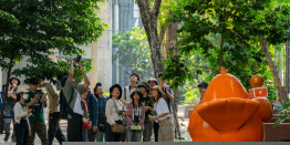 Thai PBS invites you to tell nature's story through the lens: ‘Bird Walk | City View | Mindful Gaze’ workshop and photo contest